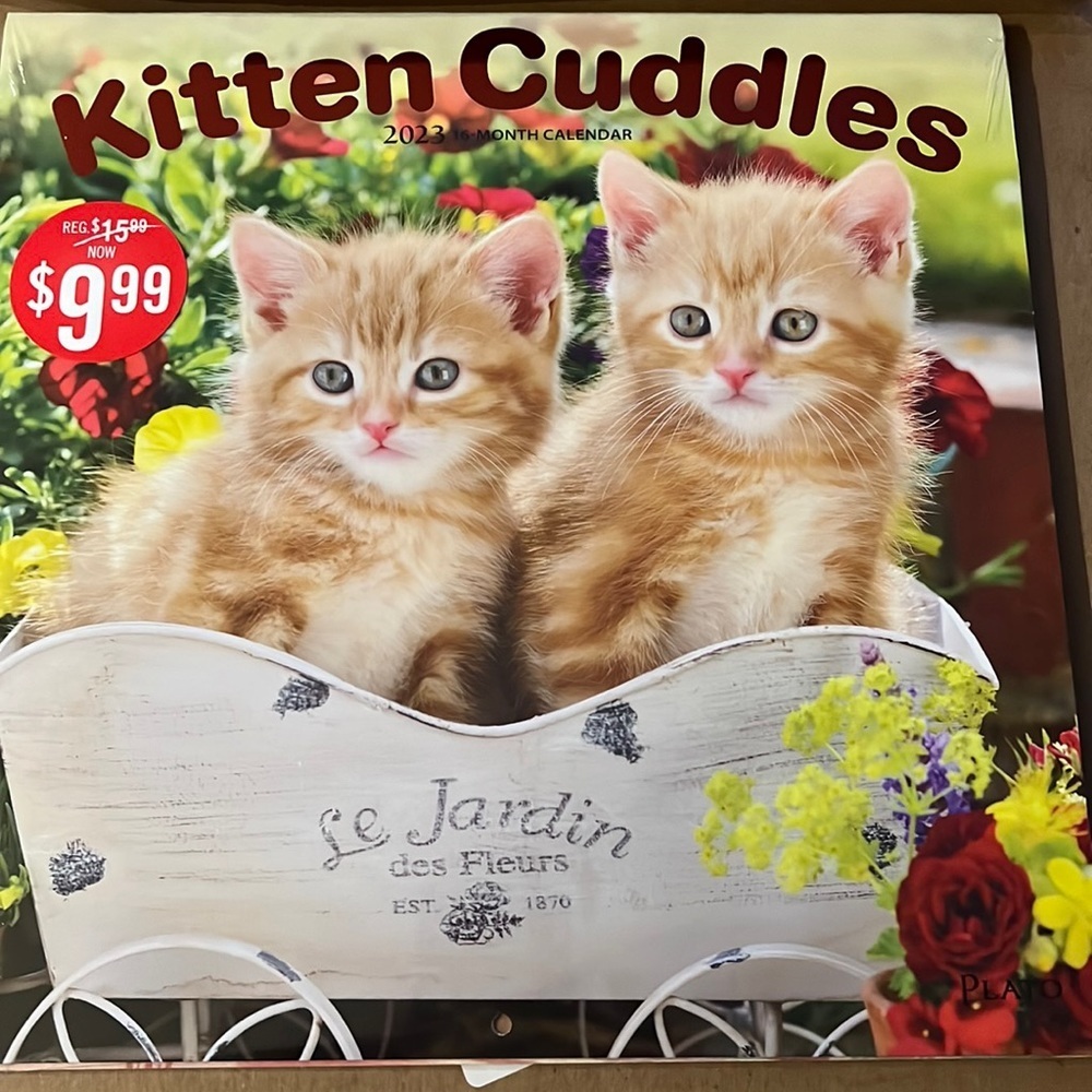 Calendar 2023  kitten cuddles 16-month‎ calendar